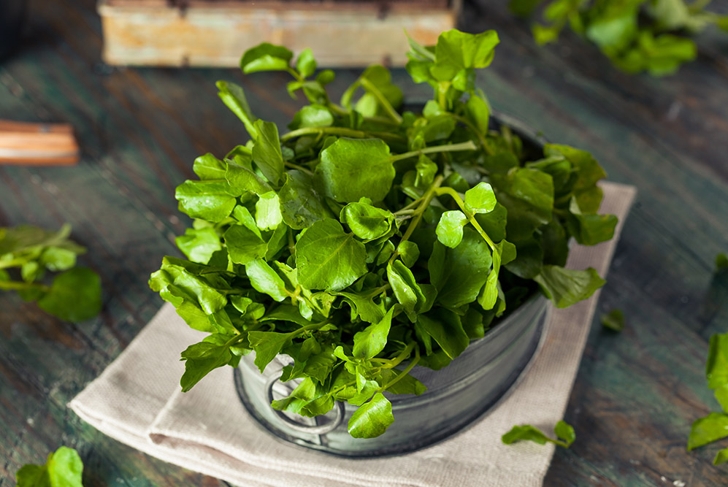 Discover the Wonders of Watercress