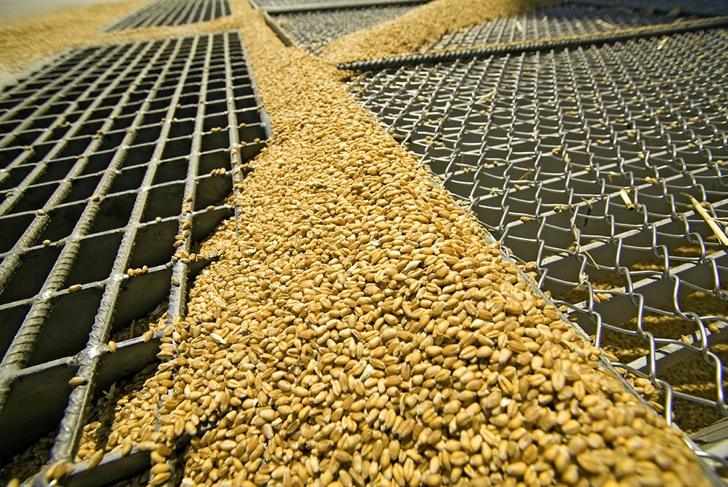 Silo for wheat, entrance through silo grid