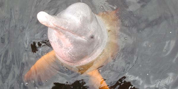 dfd49a79d6bd2a9f751ce81d48aba8