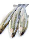 Fish Farms