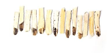 Astragalus: The Immune Warrior