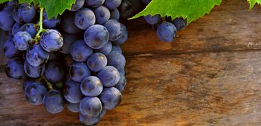 Grape Seed Extract (GSE) Has Cancer-Fighting Potential