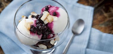 Lemon Gelato with Toasted Coconut and Zesty Blueberry Sauce