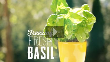 Freezing Basil
