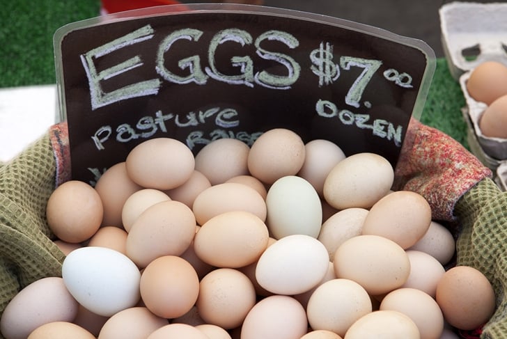 farm fresh eggs for sale