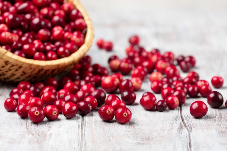 Harvest fresh red cranberries in wicker basket, selective focus. Autumn concept