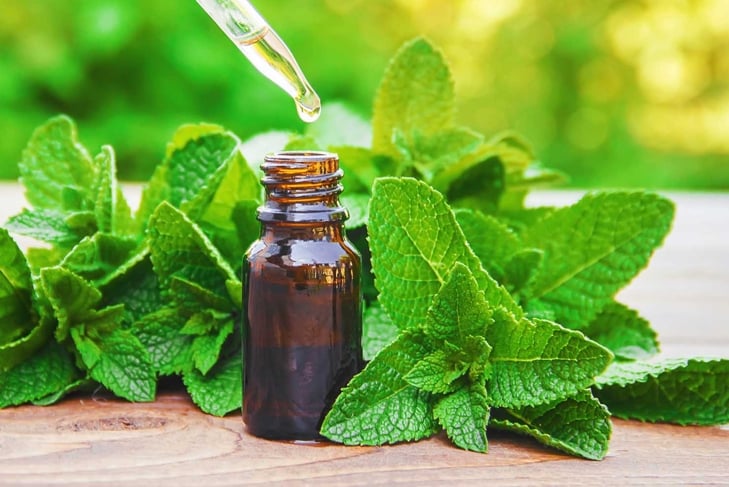 The mint extract in a small jar. Selective focus.