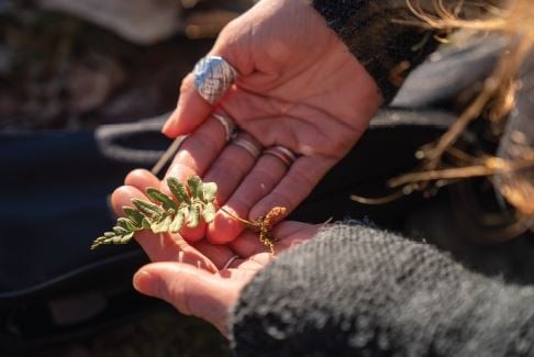 Environmental Art: A Beautiful Chance to Connect with the Earth