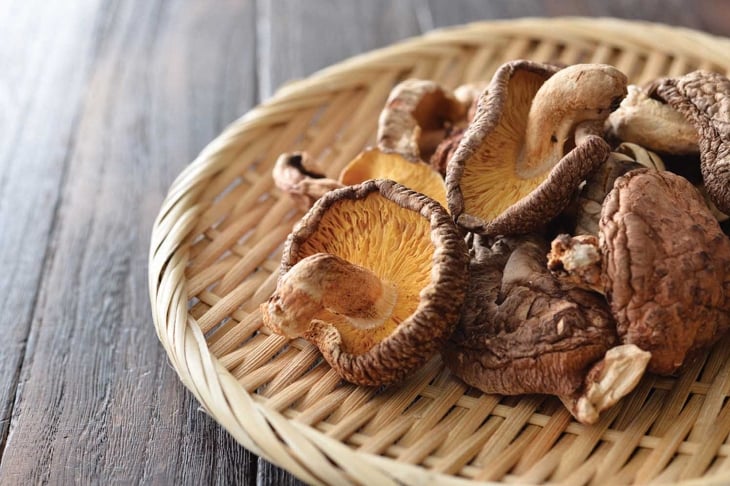 The Healing Power of Chaga and Reishi