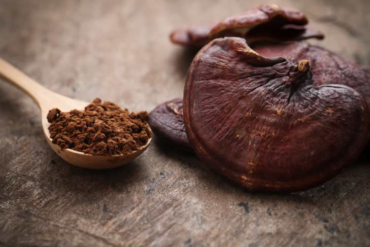 The Healing Power of Chaga and Reishi