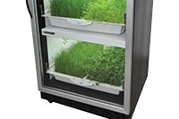 Urban Cultivator