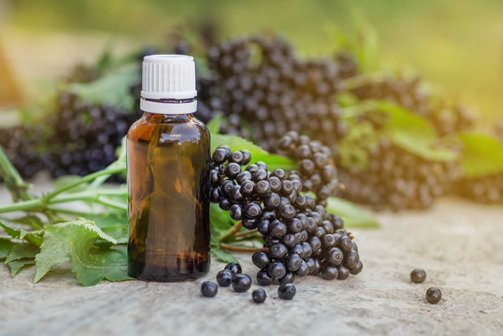 Elderberry Benefits Immune Health and More