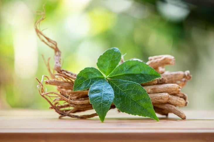 10 Health Benefits of Ginseng