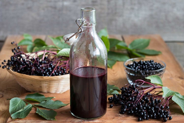 Elderberry Benefits Immune Health and More