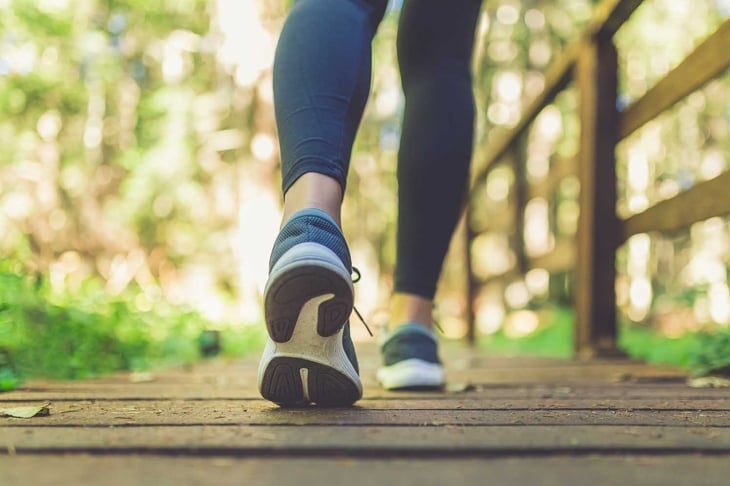 Close up of female legs with running shoes on wooden footpath in woods. Nature and sport healthy lifestyle concept.