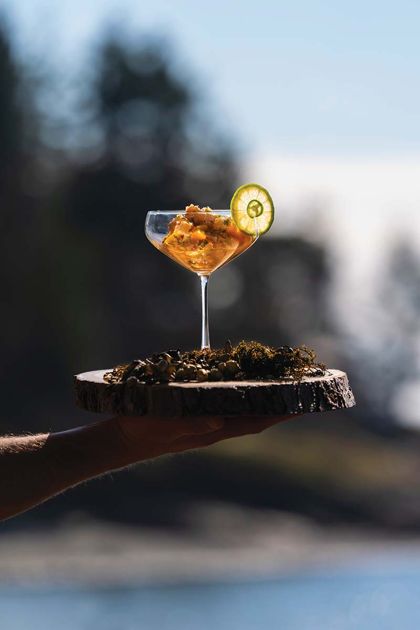 Hokkaido Sea Scallop and Mango Ceviche - alive magazine Hokkaido Sea Scallop and Mango Ceviche - alive magazine