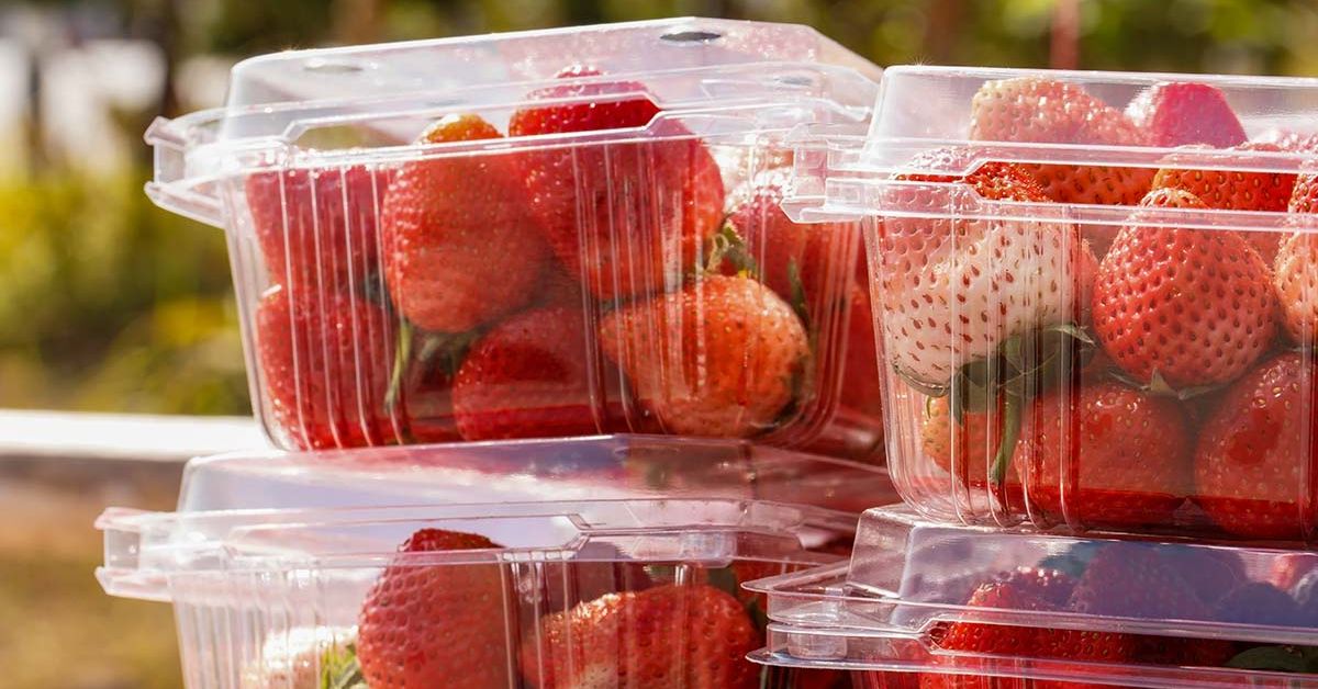 10 Types of Toxic Food Packaging alive magazine