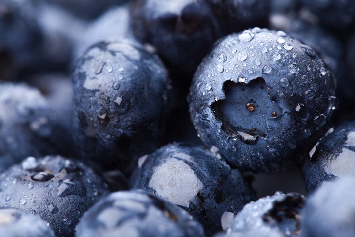 15 Immune-Boosting Foods to Support Your Body Now