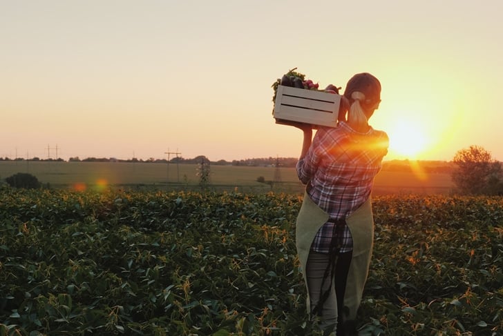 Farm, produce, sunrise, healthy farmer