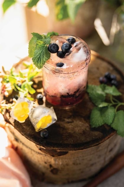 Saskatoon Berry and Wild Ginger Elixir Spritz