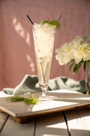 Fennel Honey Soda