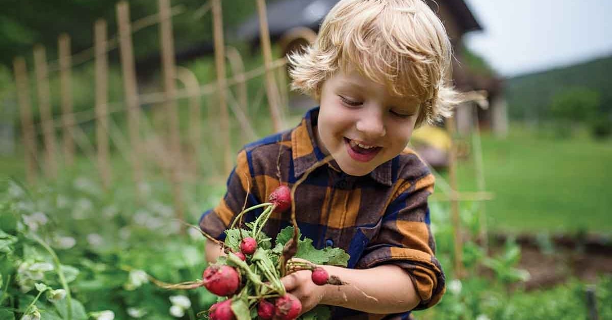 Feeding Healthy Smiles – alive magazine