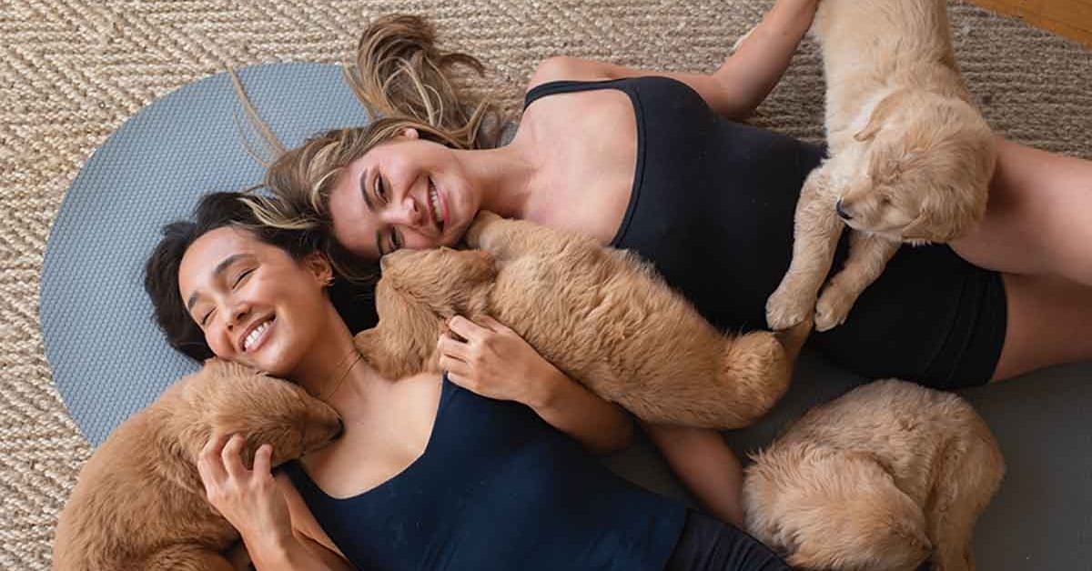 Top Benefits of Puppy Yoga with Puppy Sphere