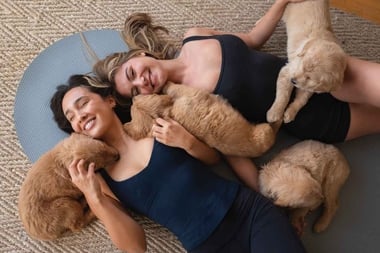 Puppies and Poses
