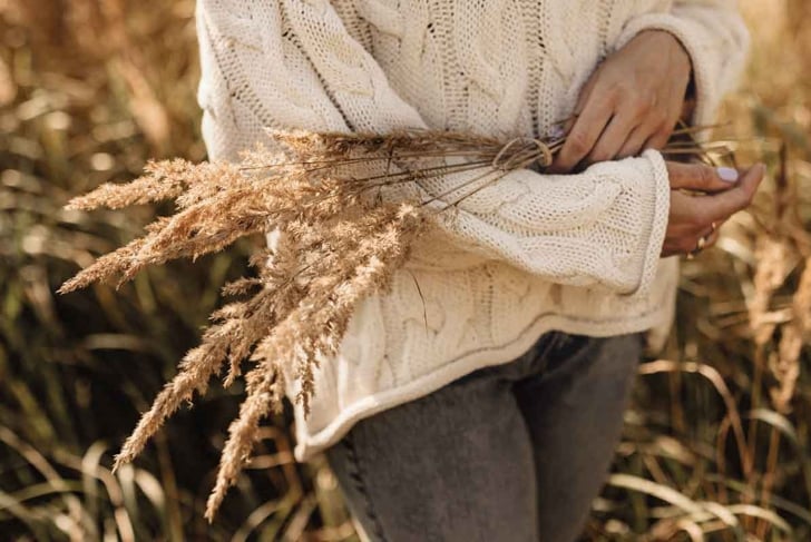 Fall reset