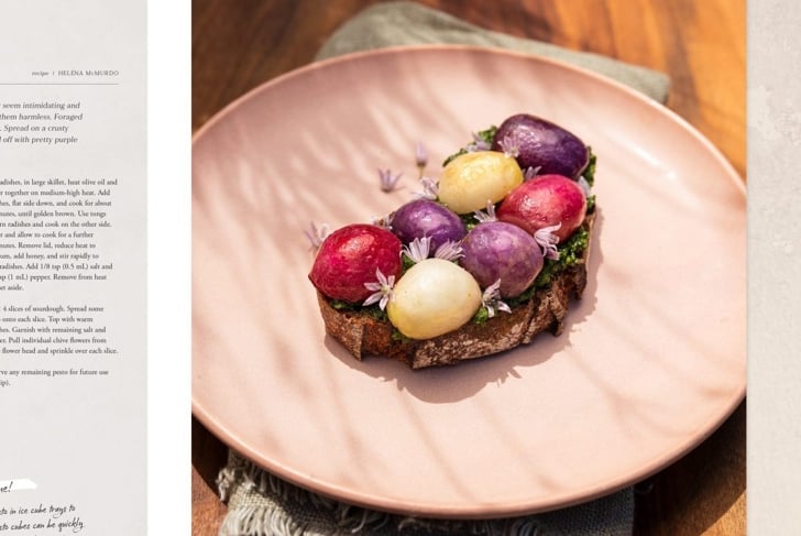 Pre-Order Nourish: Adventuring with Whole Foods —an alive Cookbook