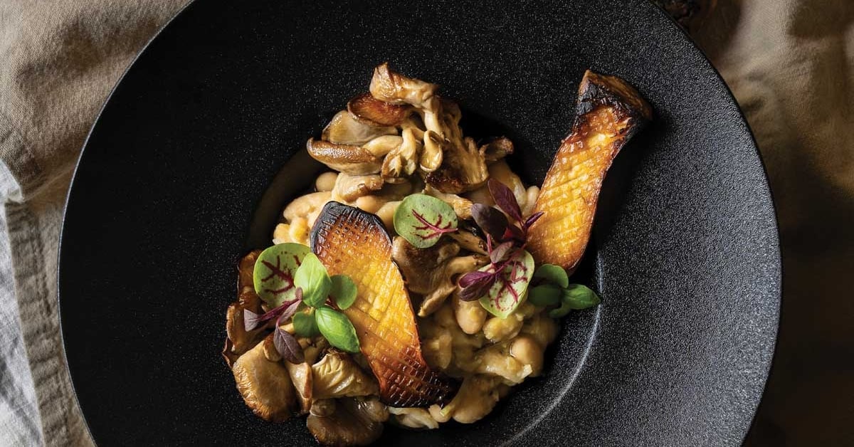 Food from the Forest – alive magazine