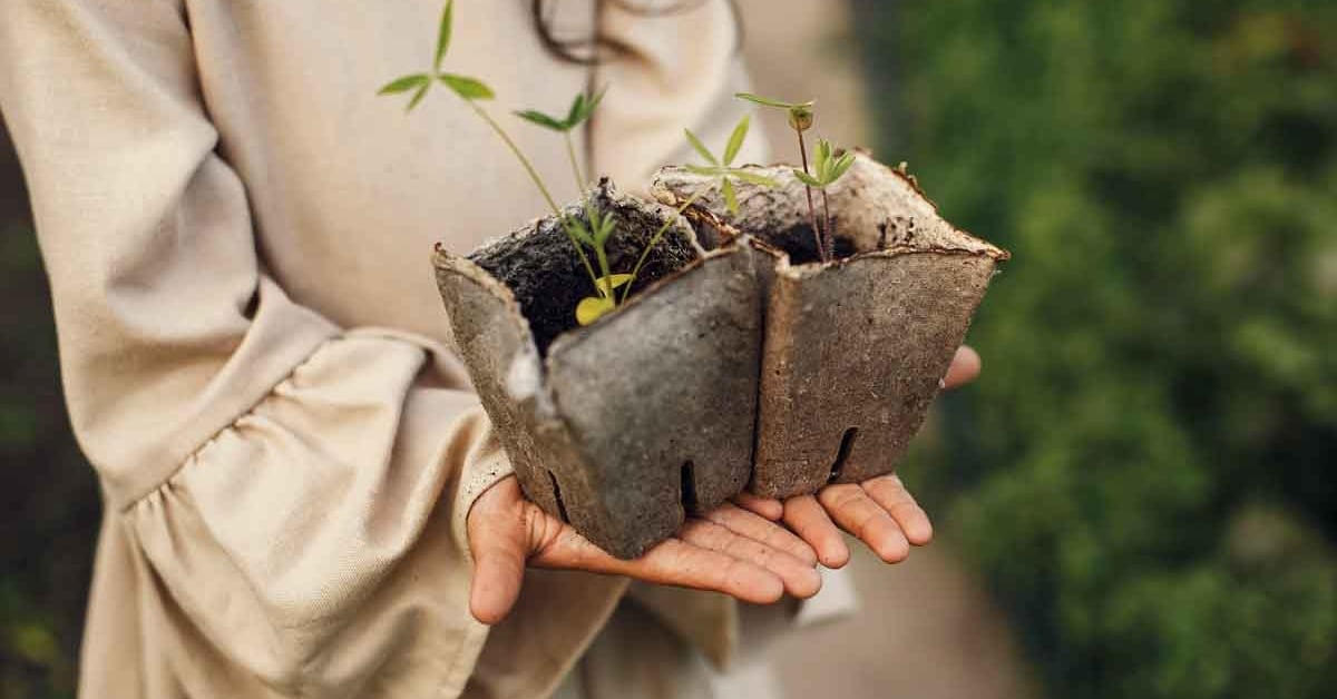 Nonprofits Are Shaping the Future of Our Planet Nonprofits Are Shaping the Future of Our Planet