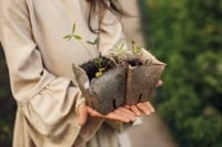 How Nonprofits Are Shaping the Future of Our Planet