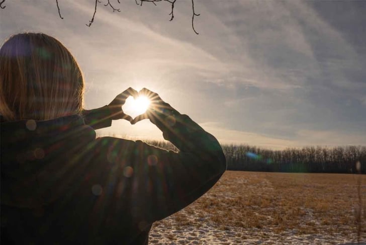 Is light the nutrient we're missing