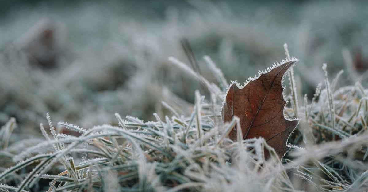 Strengthening Your Heart Against a Changing Climate