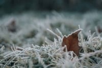 Strengthening Your Heart Against a Changing Climate