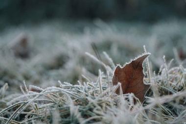 Strengthening Your Heart Against a Changing Climate