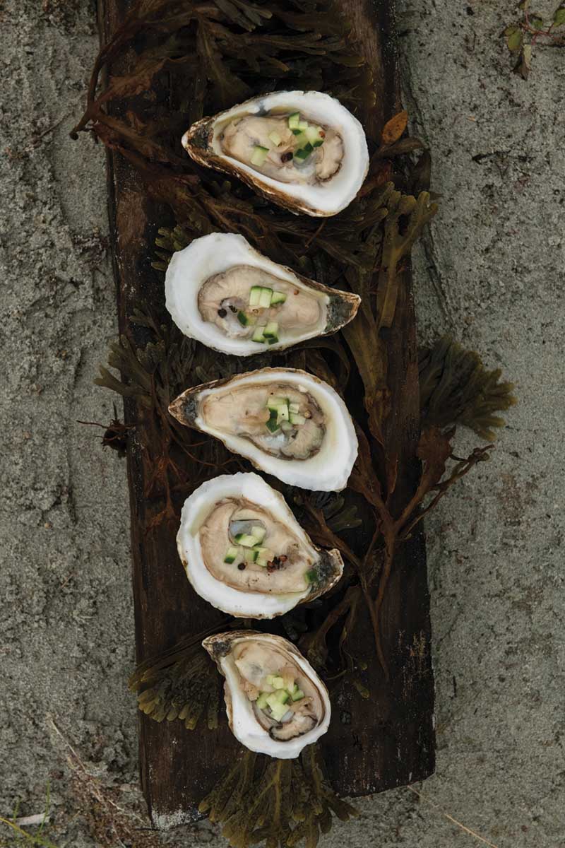 Fresh Oysters with Cucumber Mignonette, image size:800x1200