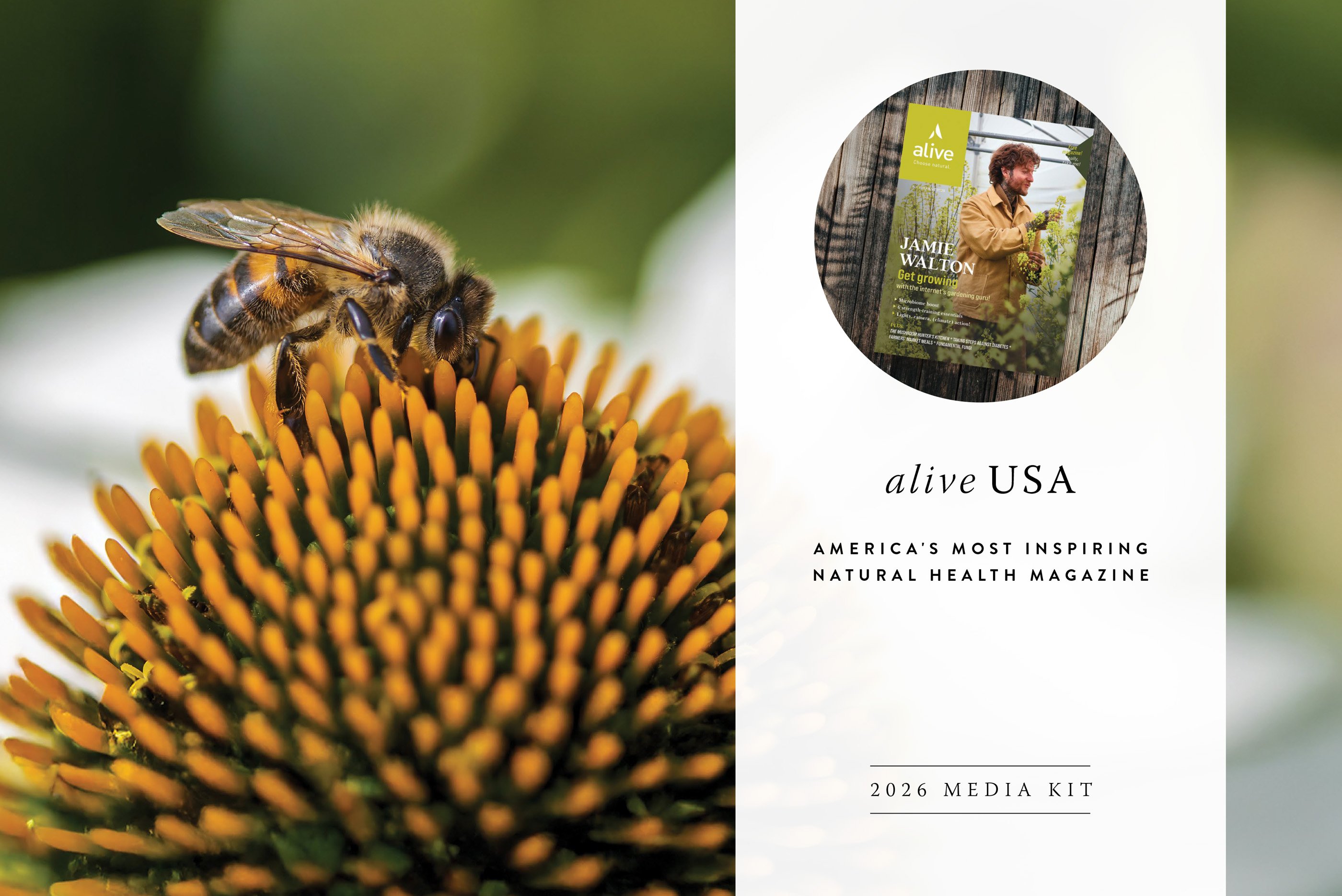 <em>alive</em> magazine USA